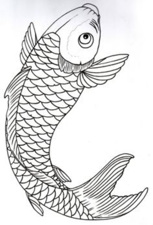 Carp Fish Tattoo Design For Girls